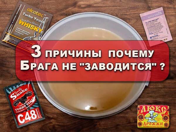 3 и более причин не работающей браги. Коллаж от Самогонъ-Б12 ©
