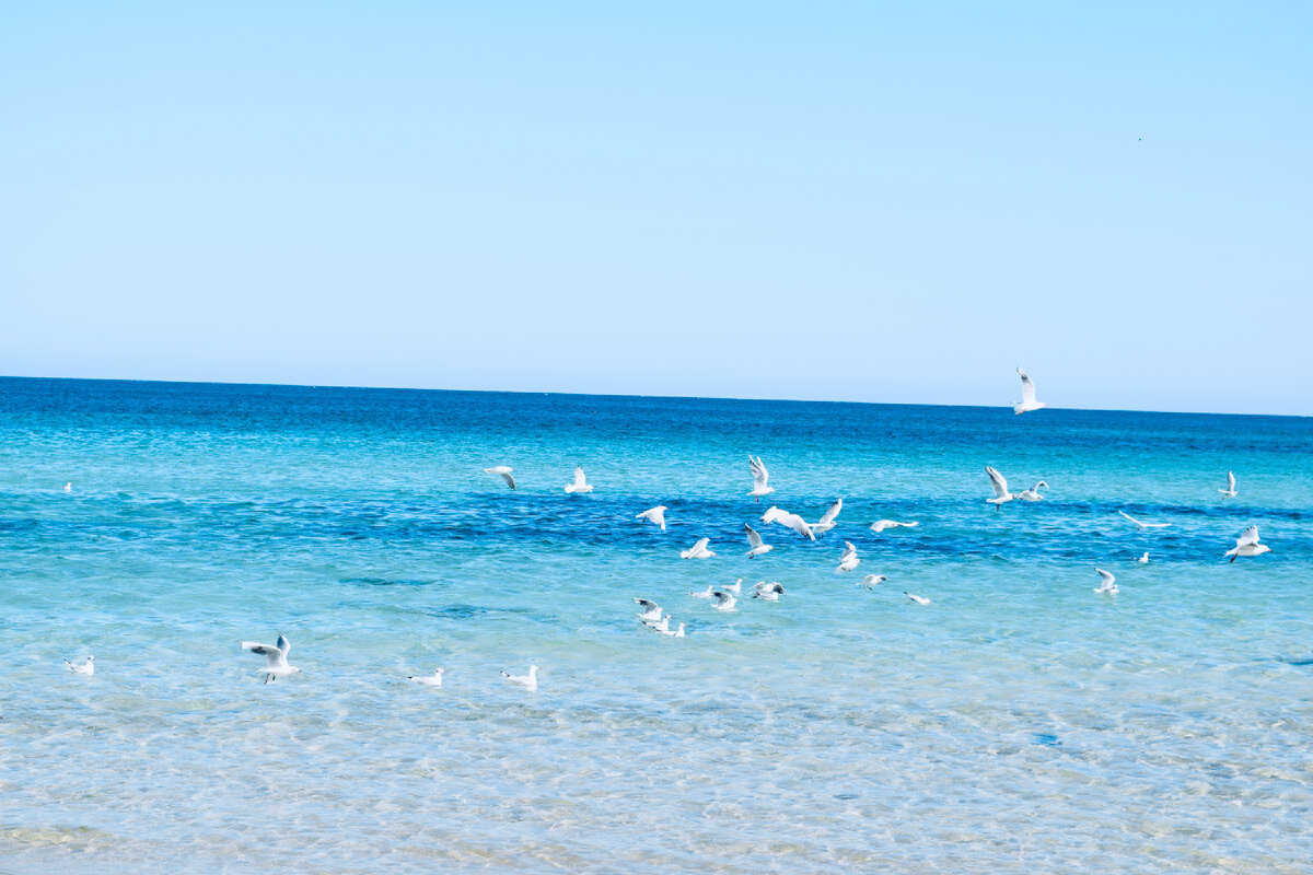 Фото из личного архива