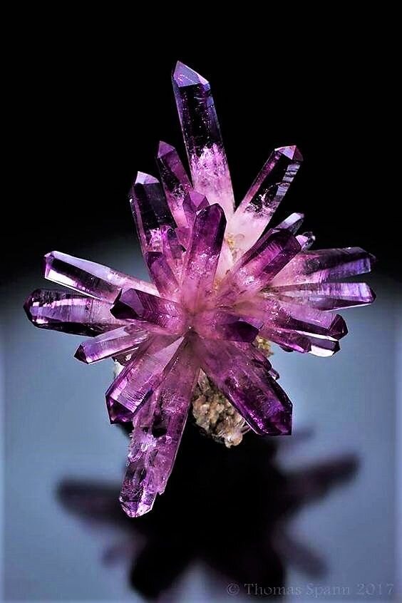 Что за чудо чудное?.. Фото с сайта https://www.pinterest.ru/pin/5136987062923014/