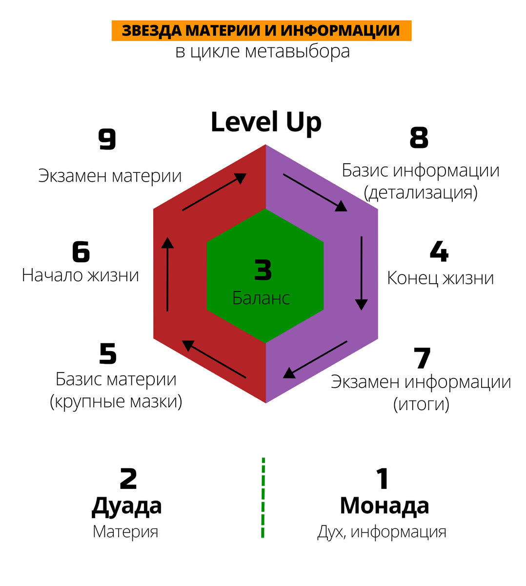 Семеричный цикл материи и информации