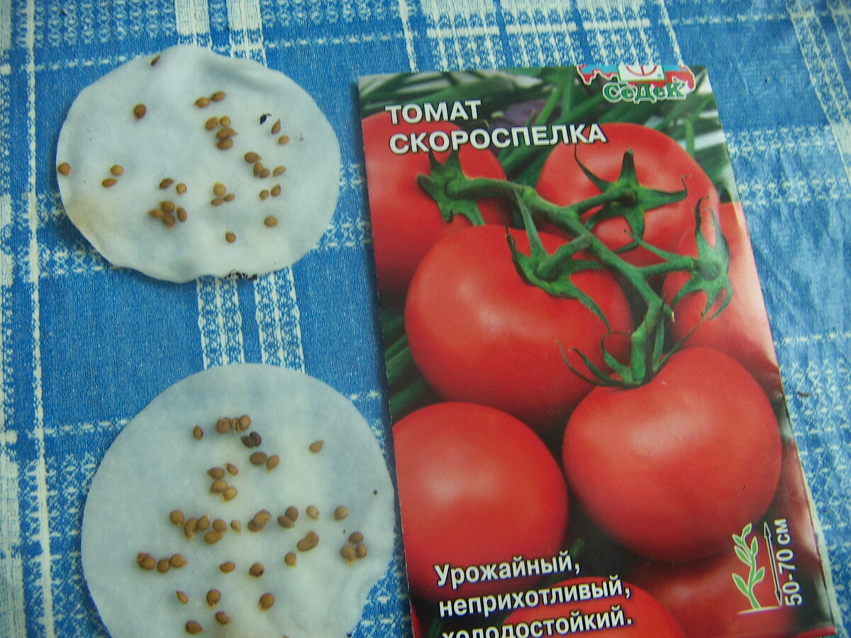 Первый пошёл!