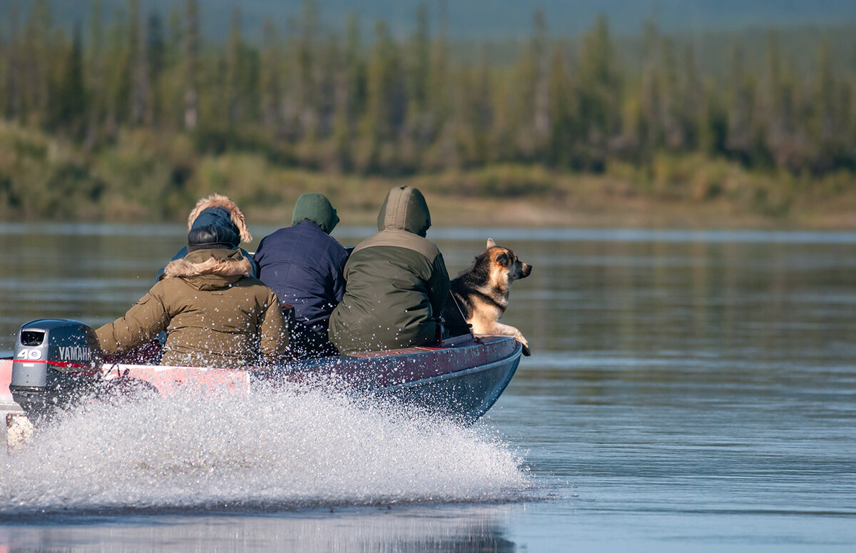 Выезд на полевые работы