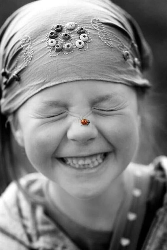 "Хватит громко смеяться"