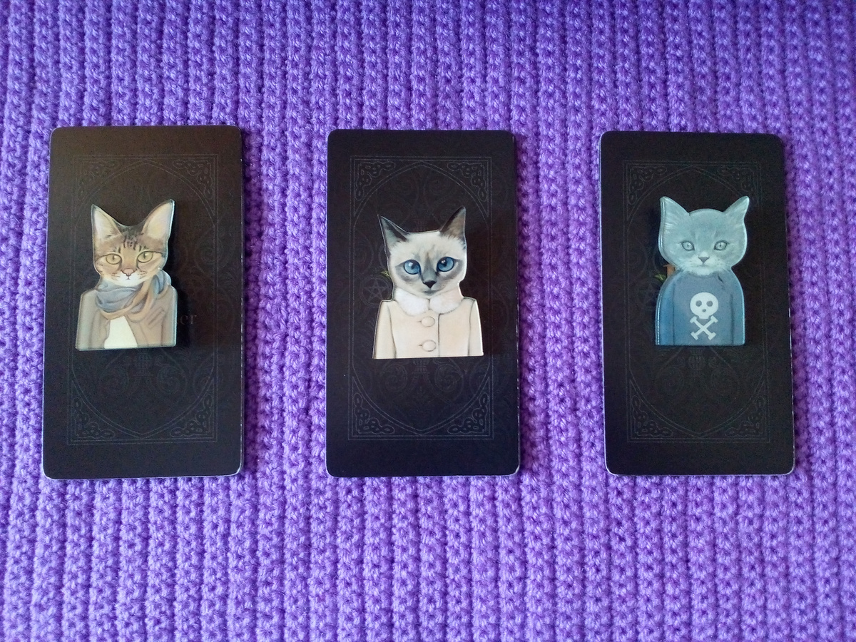 Варианты прогноза. Фото автора