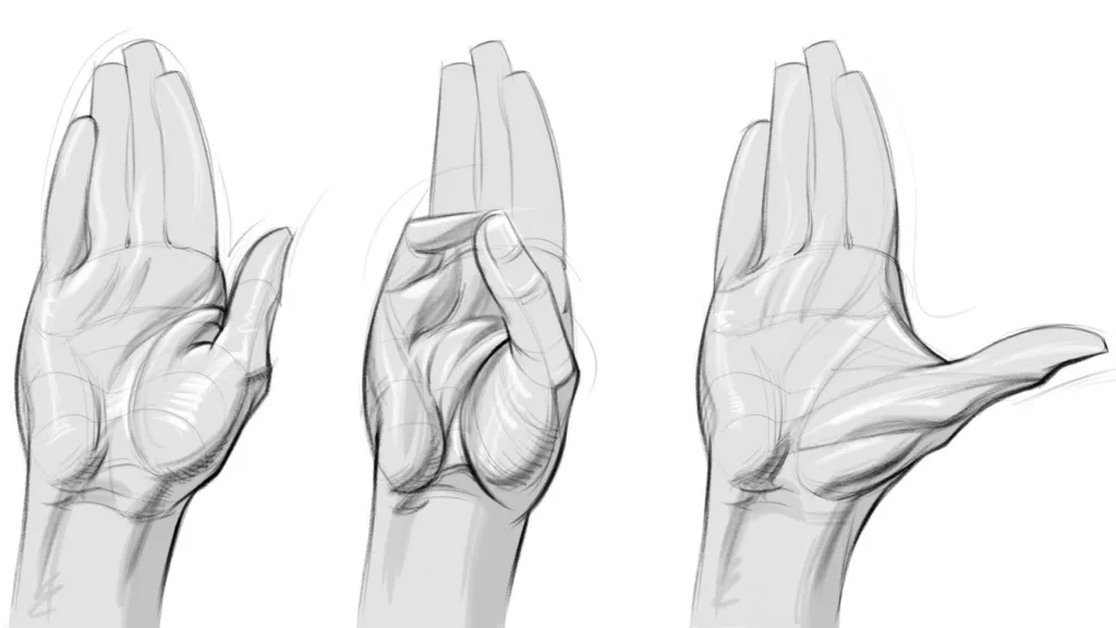 В этой статье подробно остановимся на том, как рисовать кисти рук.