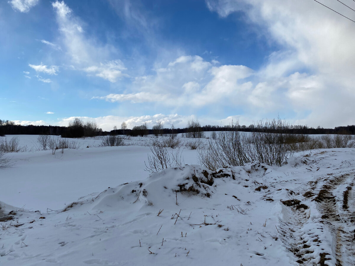 Поле большое, есть место где разгуляться, а за спиной улица деревни