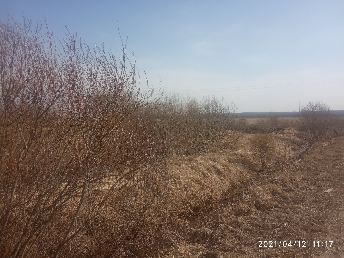 Даже смешно вспоминать как мы радовались заросшему, запущенному клочку земли!)