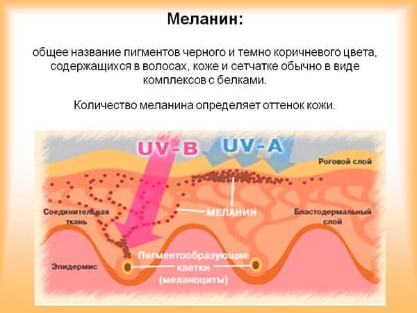 Комментарии