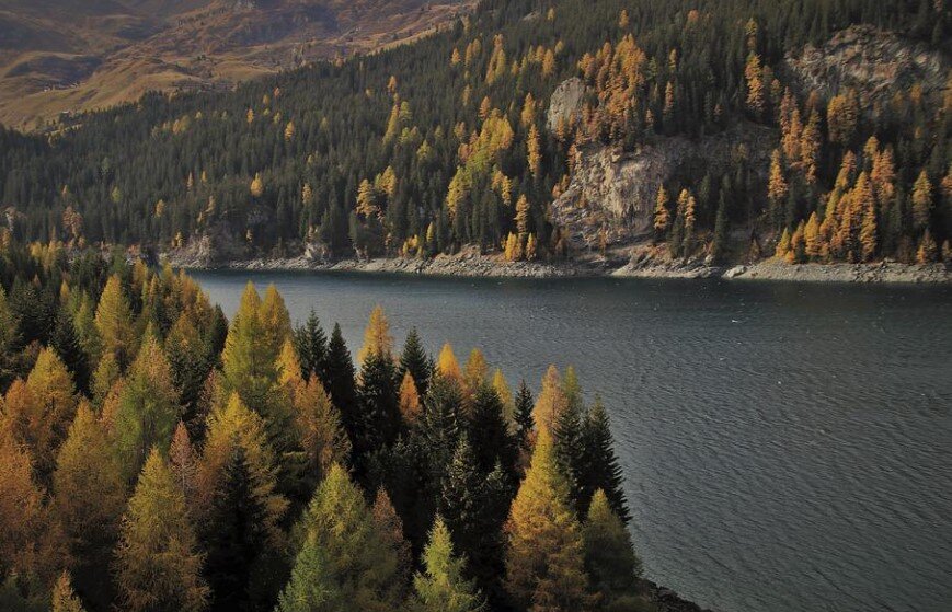 Фото: Pixabay.com