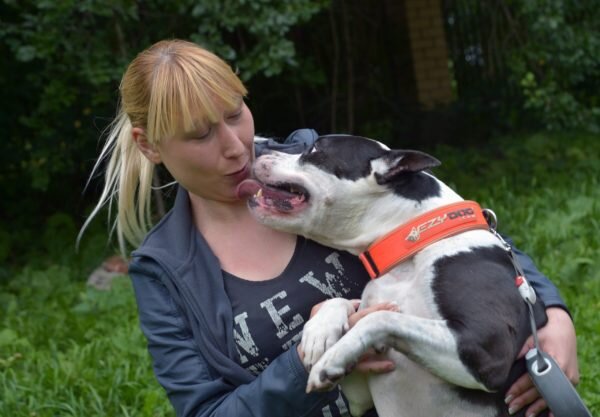 Собака будет хорошо работать только при положительной мотивации