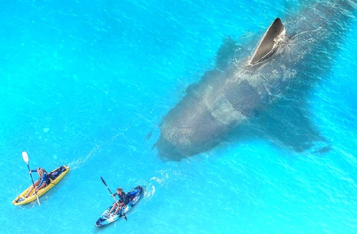 - О, вот это подарочек! Как говорится, дайте две! 