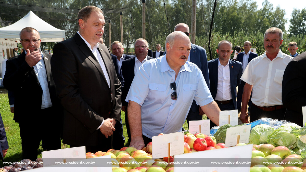 – Я учился здесь