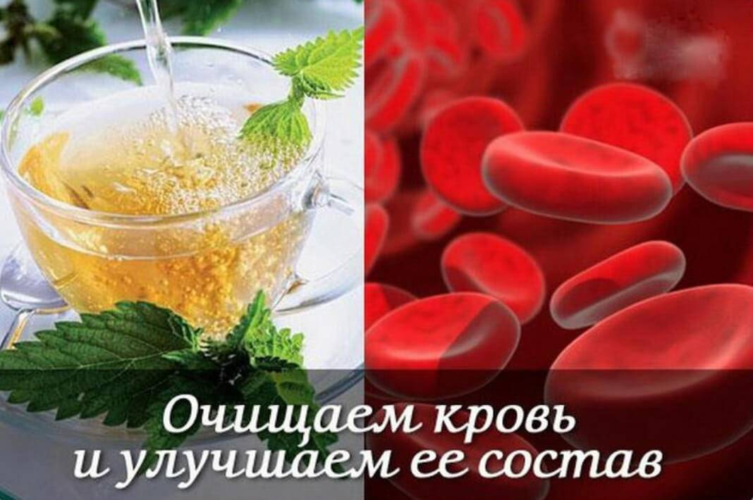 Продукты чистящие кровь