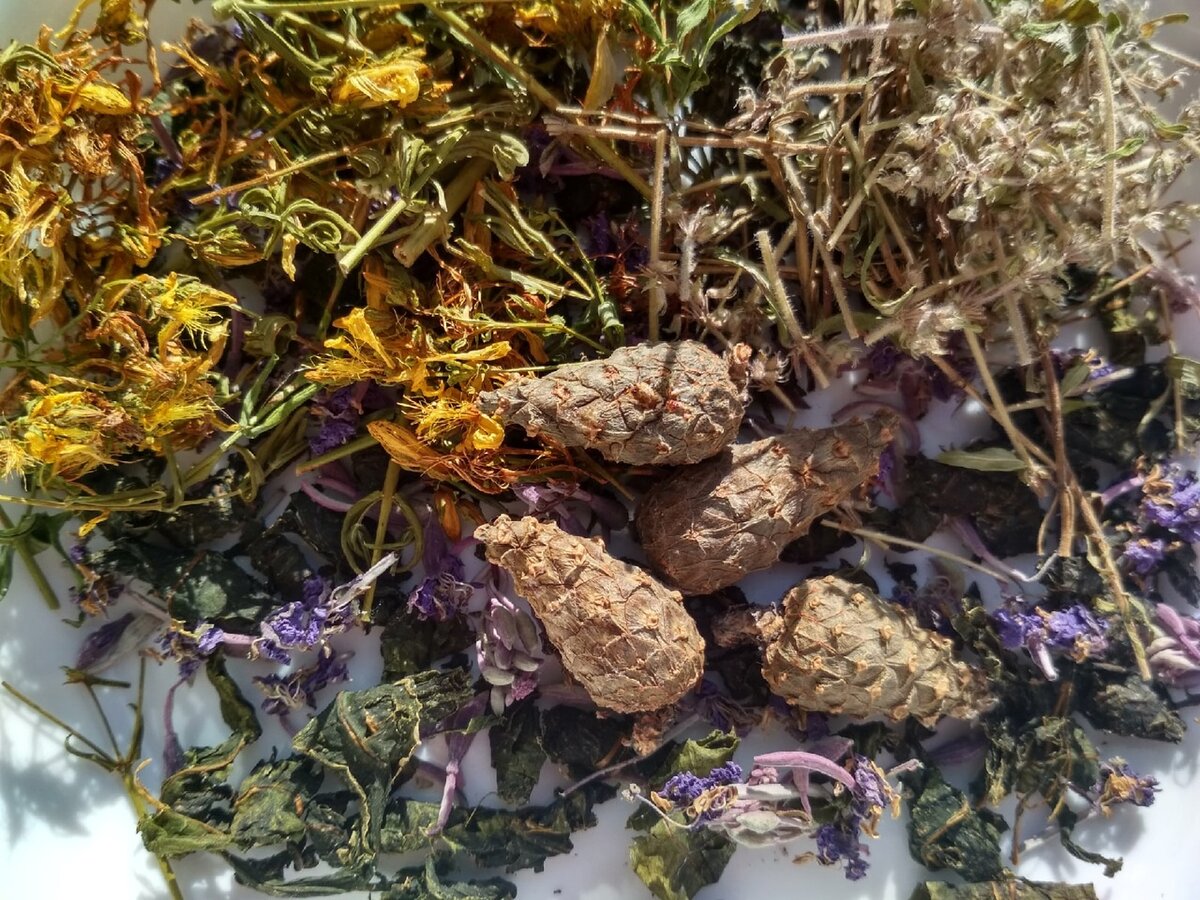 Чай для укрепления иммунитета. Фото автора.