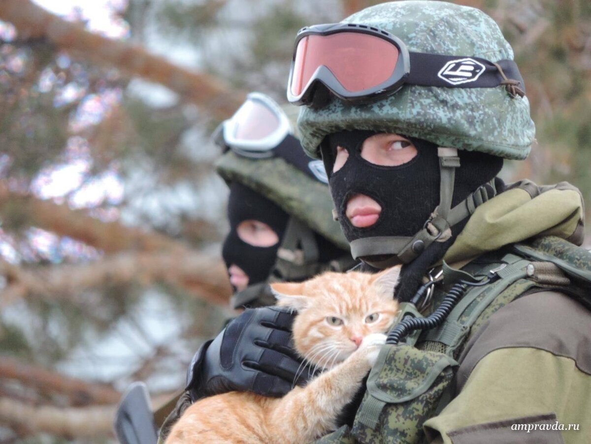 Российские военные с котом. Фото взято из открытых источников в интернете.