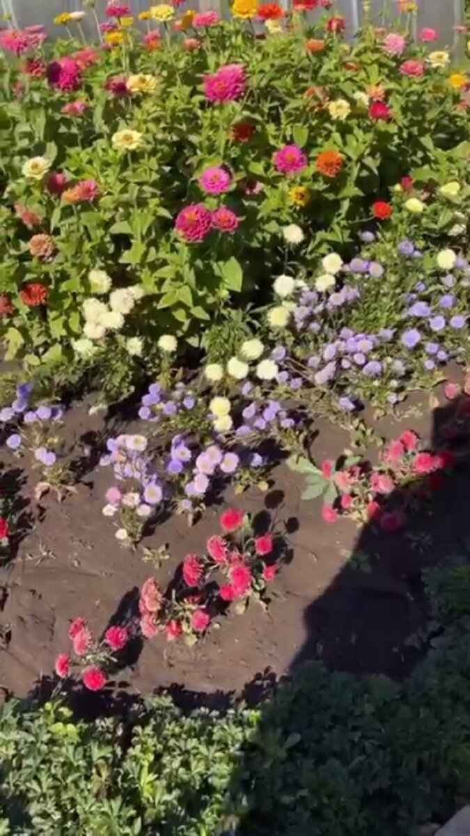    Гузеева показала огород своего братаКадр из видео