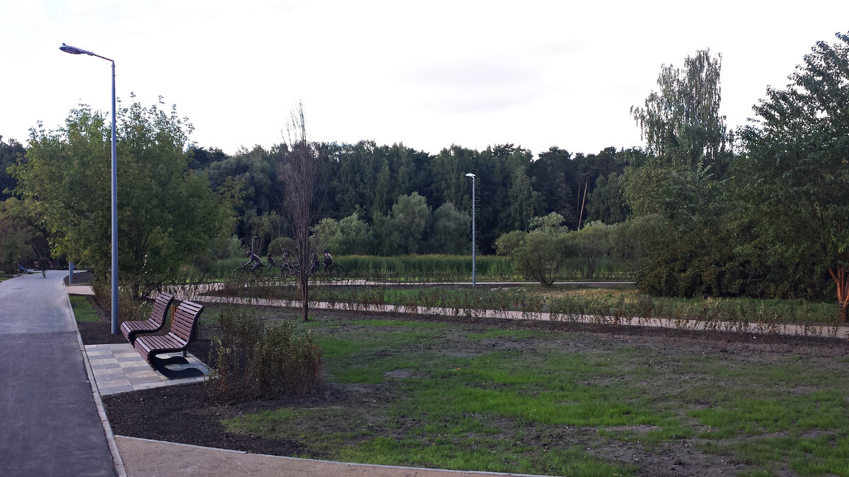 скамейки новые