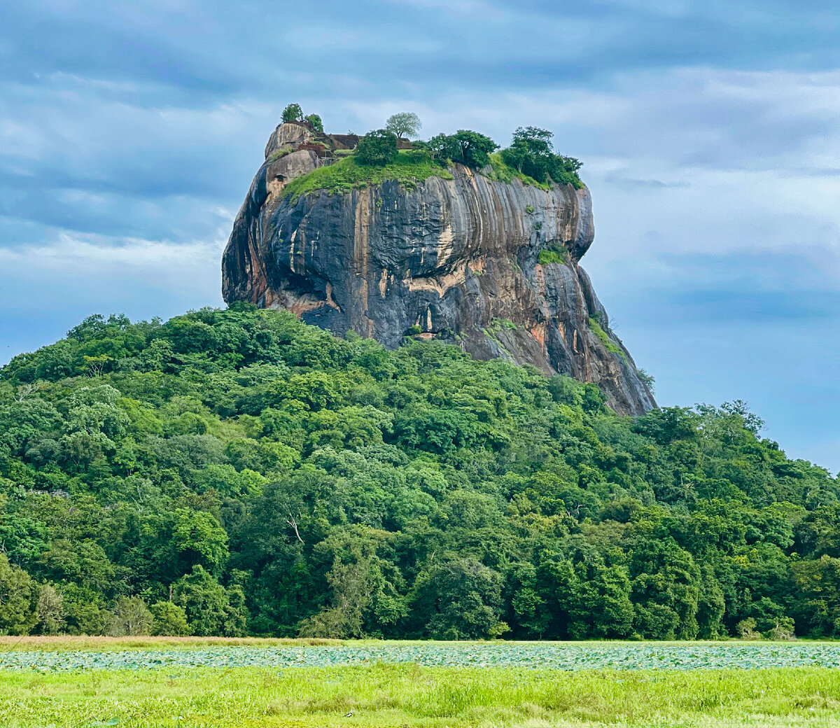 Фото автора. Сигирия.