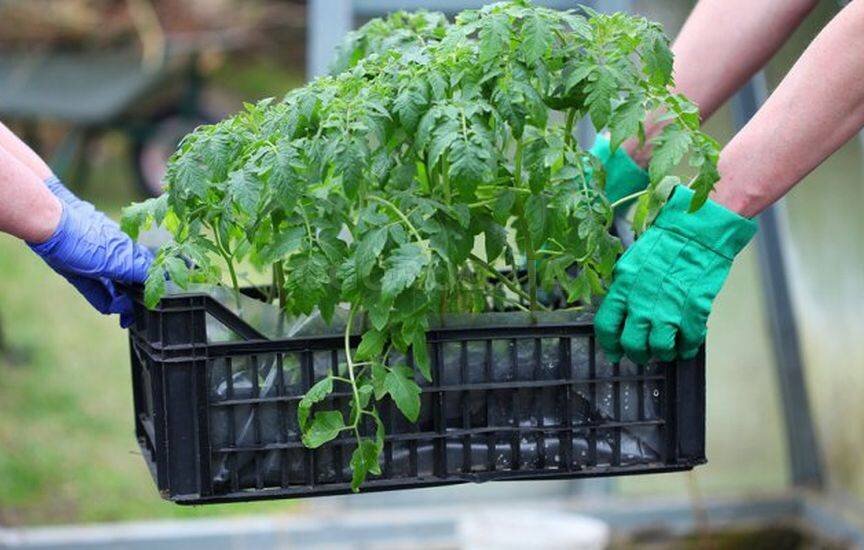 Источник Яндекс.Картинки