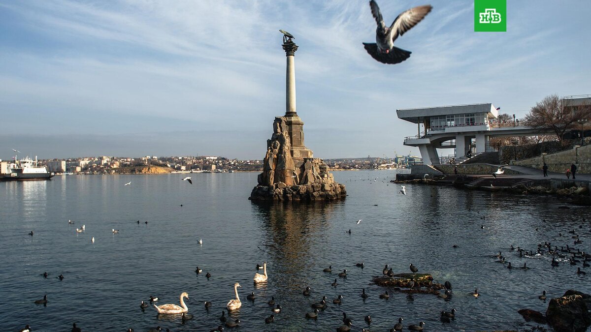    Фото: РИА Новости © 2022, Владимир Астапкович