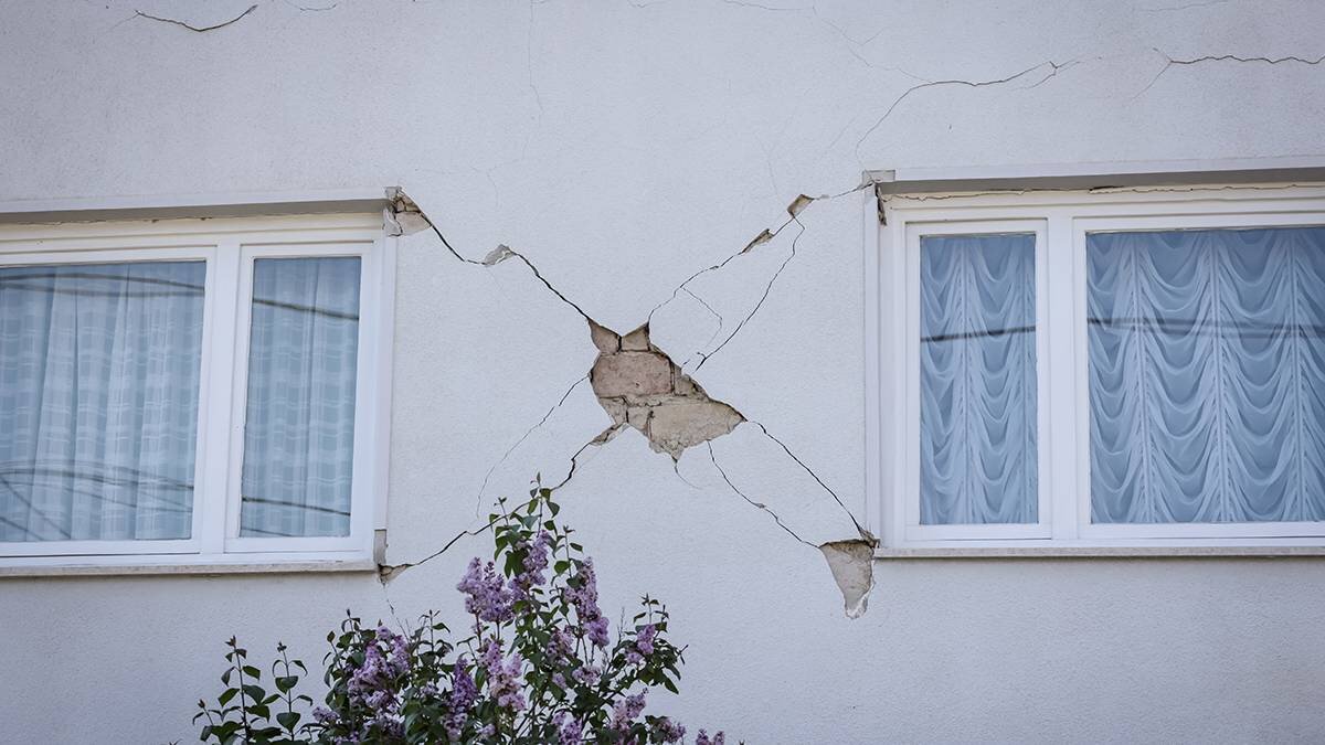    Фото: shutterstock