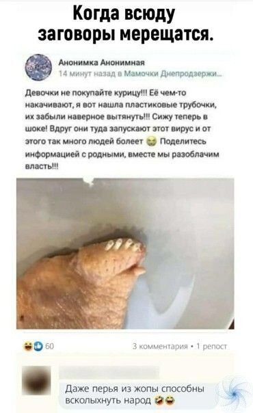 Фото взято из открытых источников сети интернет 