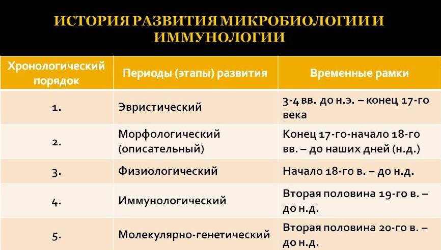 Сразу посмотрим, что нас ждёт дальше