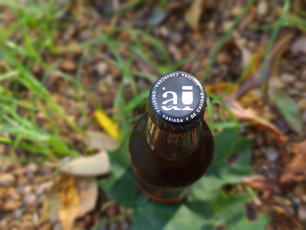 Arriaca Red IPA, фото автора