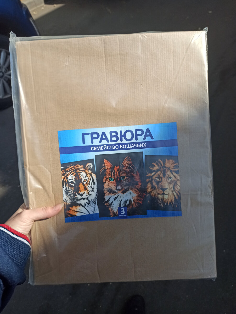 Это я, бегу довольная с посылкой к дому:) Запаянная коробка, пришла в целости.