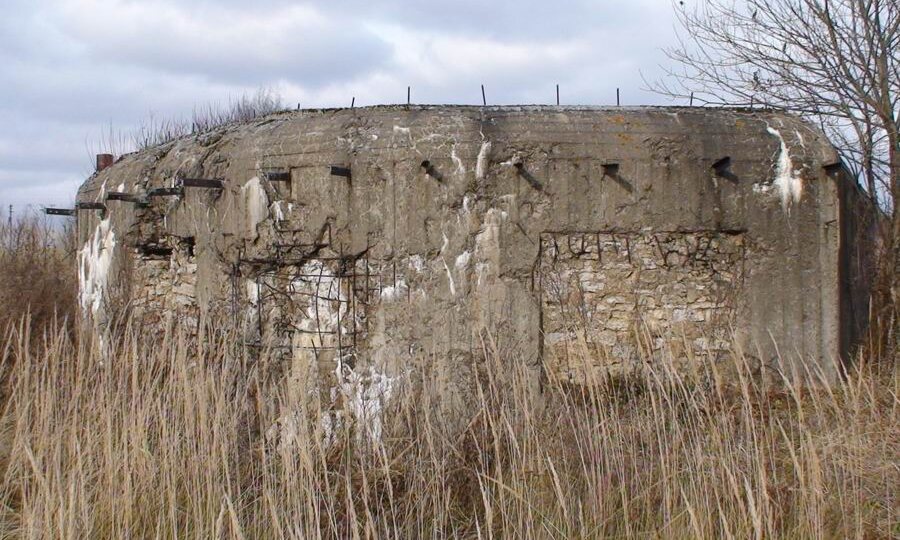 Где и как воевала самая неизвестная часть ленинградских ополченцев