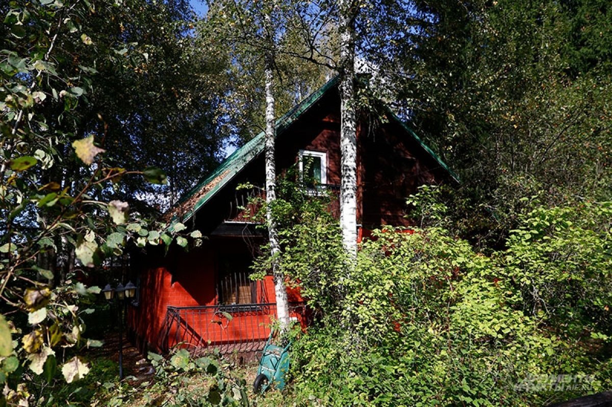    Разруха и запустение.