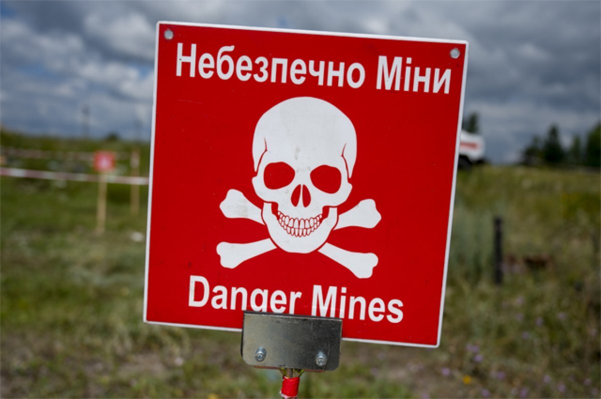    Журналиста Никсона шокировало решение Киева отправлять ВСУ на минные поля