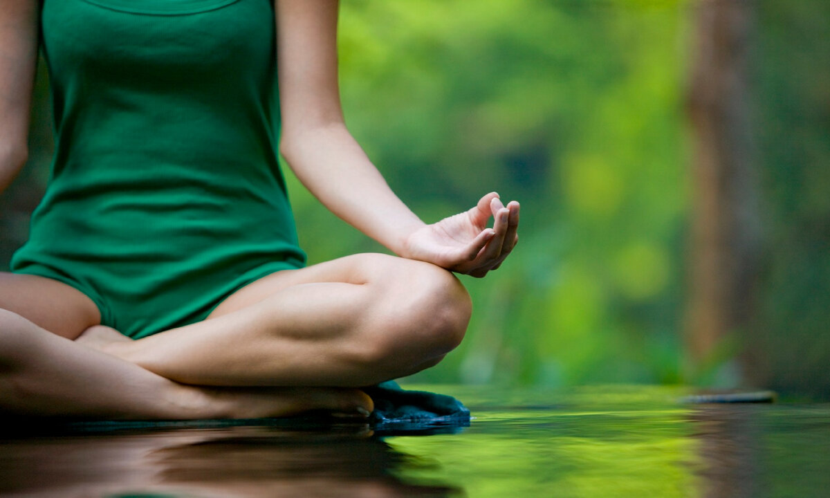 Изображение взято из свободного источника.