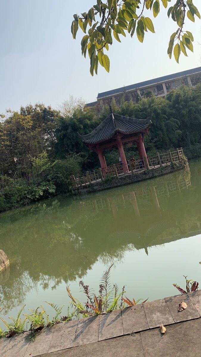 Университетский пруд 