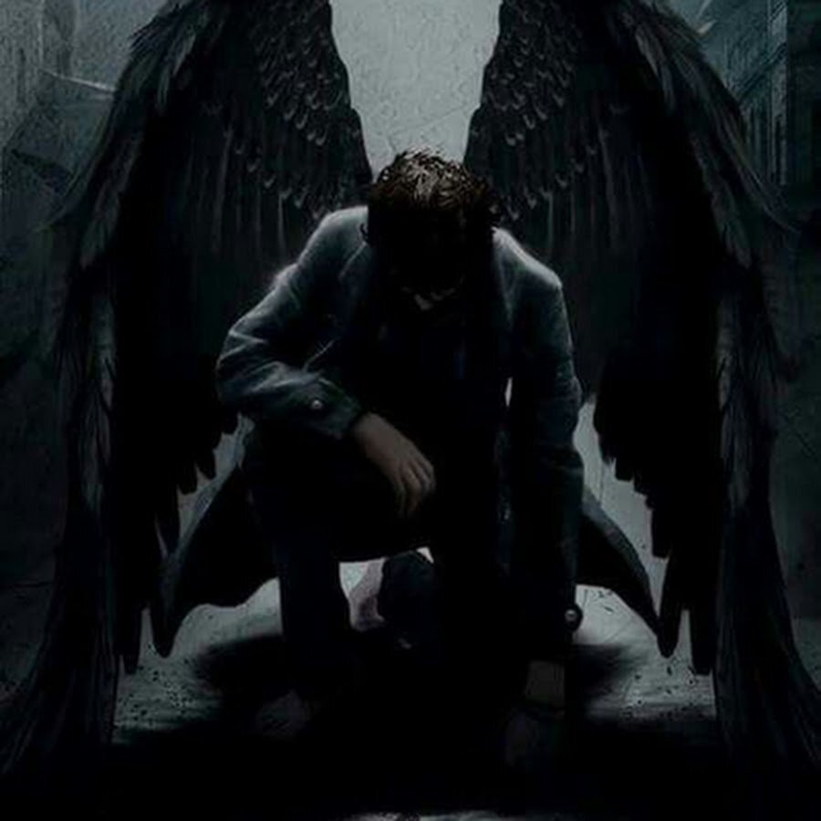 Фото из открытых источников Яндекс 