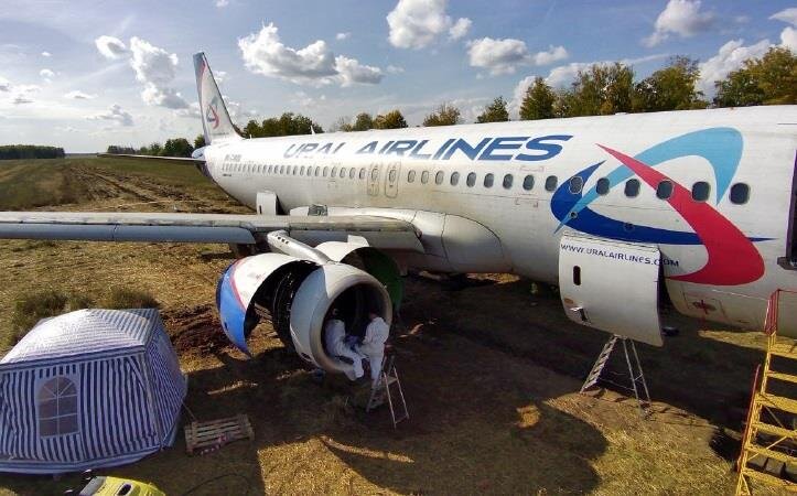 Несколько лопаток вентилятора CFM56 получили незначительные повреждения. Фото: Уральские авиалинии