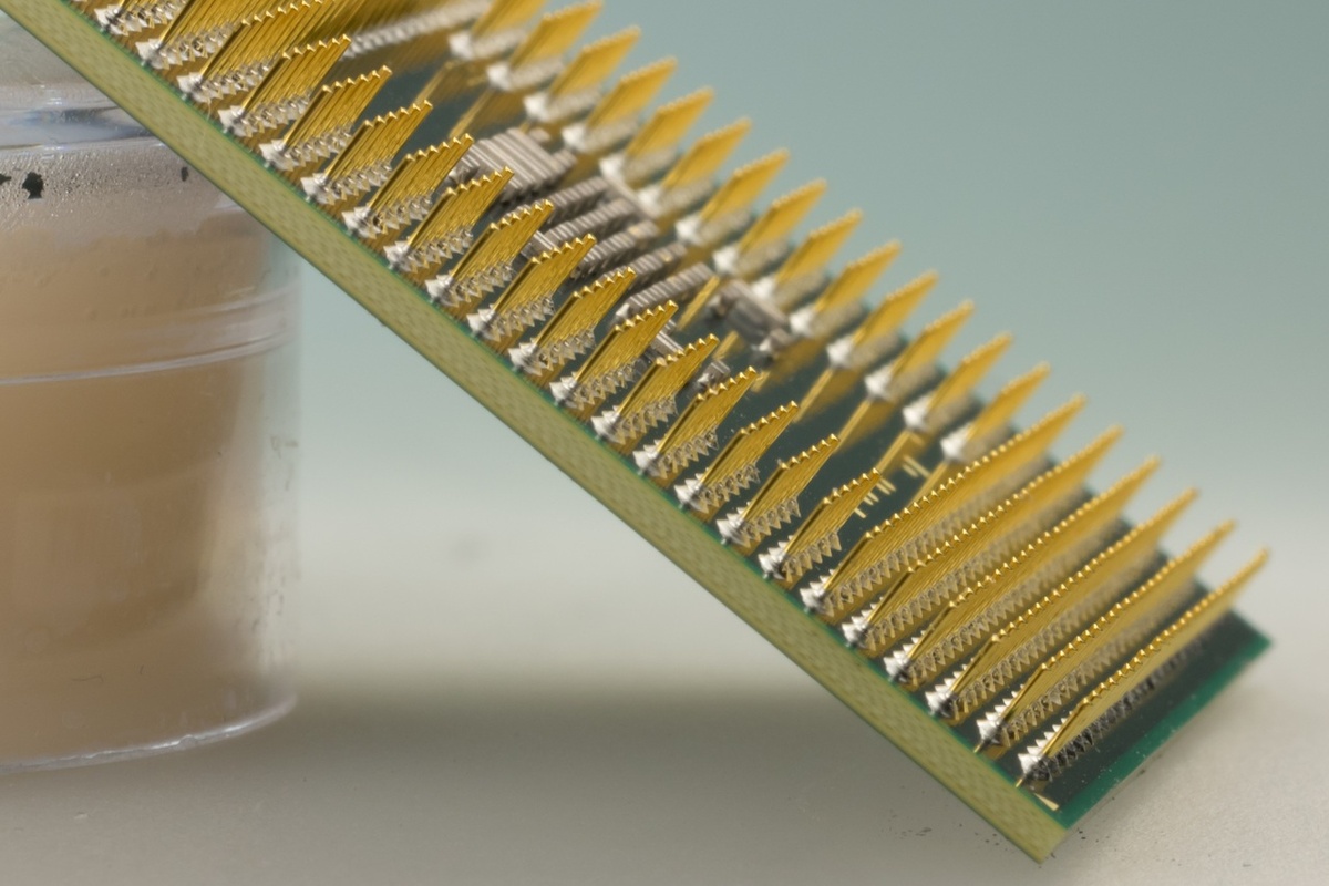 Фото https://pxhere.com/ru/photo/1087936?utm_content=shareClip&utm_medium=referral&utm_source=pxhere 