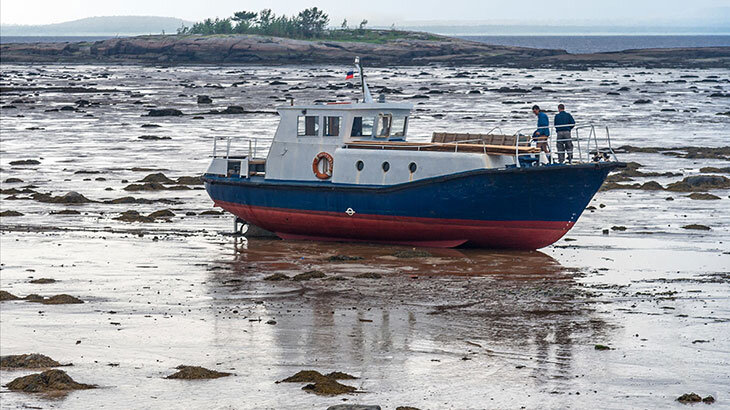 Отлив на Белом море