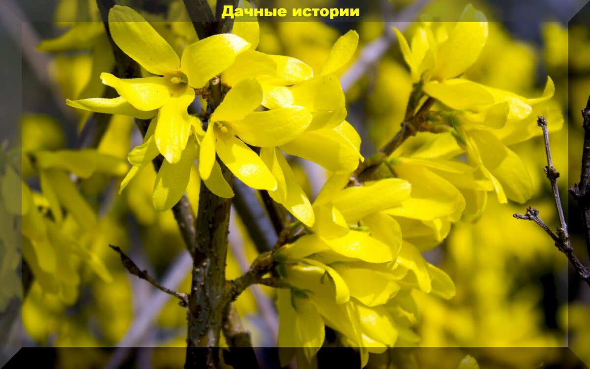 https://vk.com/photo-159774511_457247246