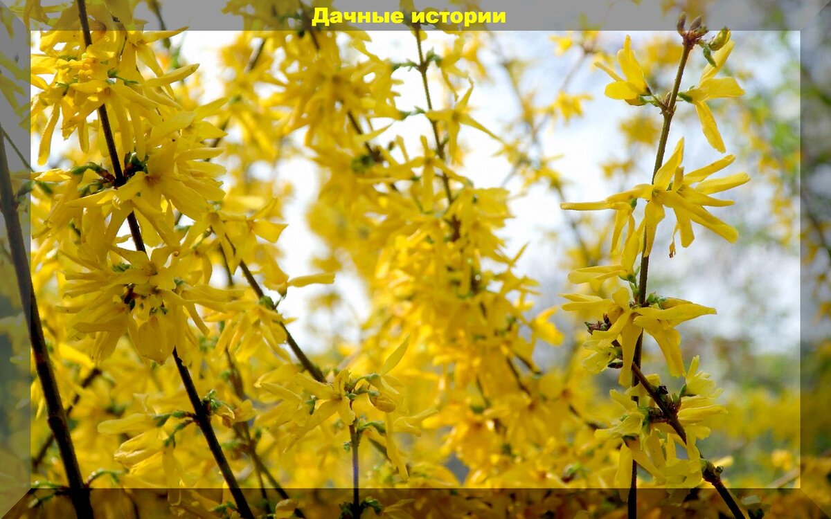 https://vk.com/photo-159774511_457247254