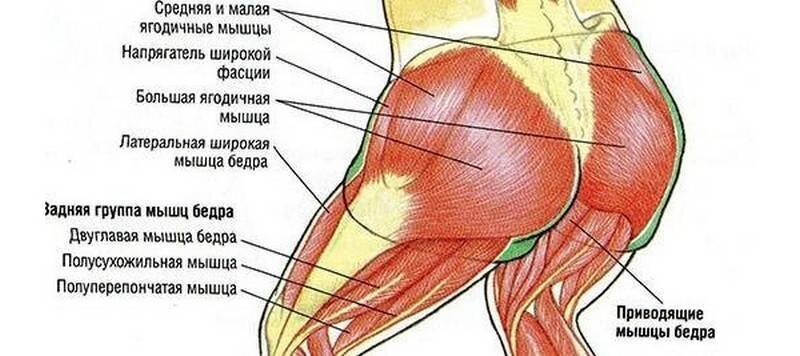 Растянутая жопа