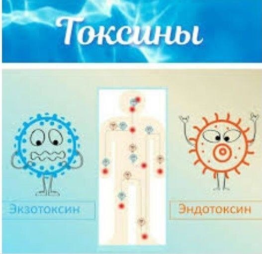 Человек - это уникальная живая система.