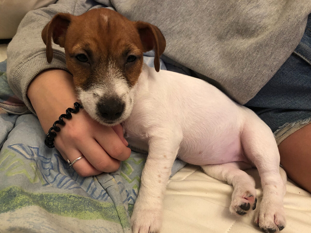 Как она умудрялась выдавить столько, для меня загадка 