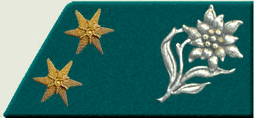 Петлица обер-лейтенанта австро-венгерской армии (горные егеря).