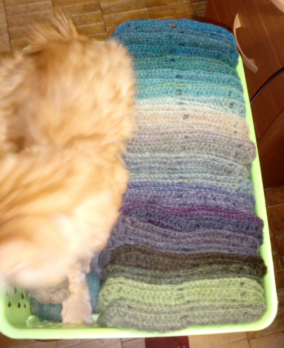 Это с котом...не поместился, поворочался, ушёл
