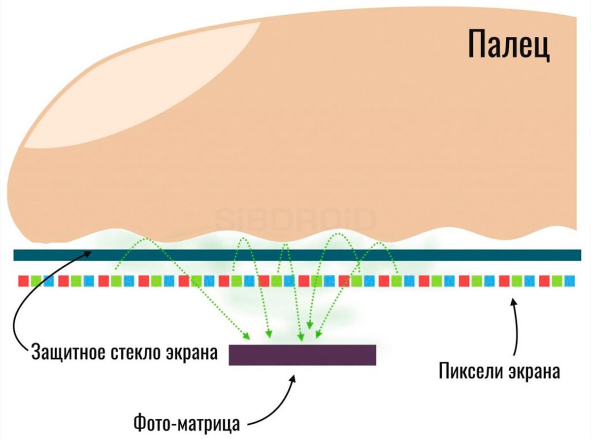 Как работают разные сканеры отпечатков пальцев в смартфонах | Sibdroid.News  | Дзен