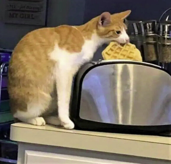 Источник: www.reddit.com