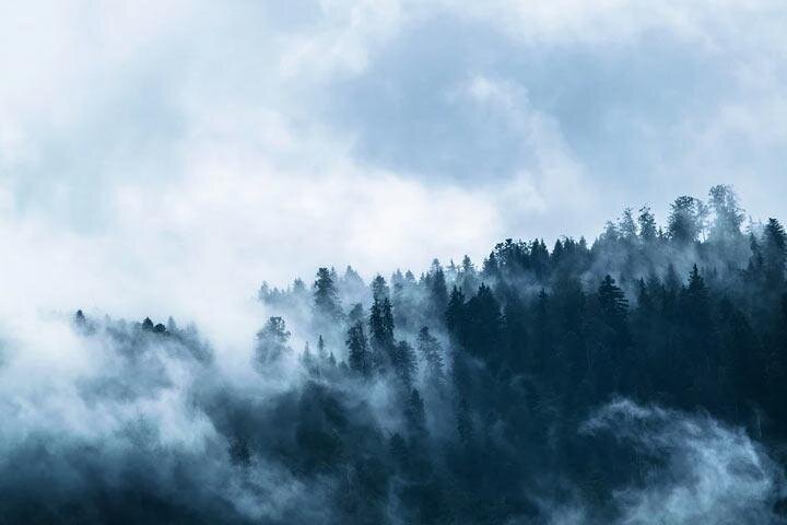 Фото: pixabay.com 