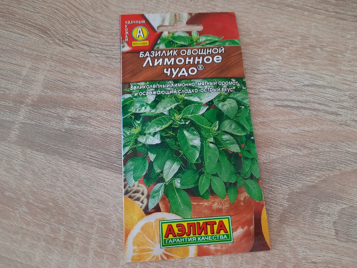 Фото из личного архива автора