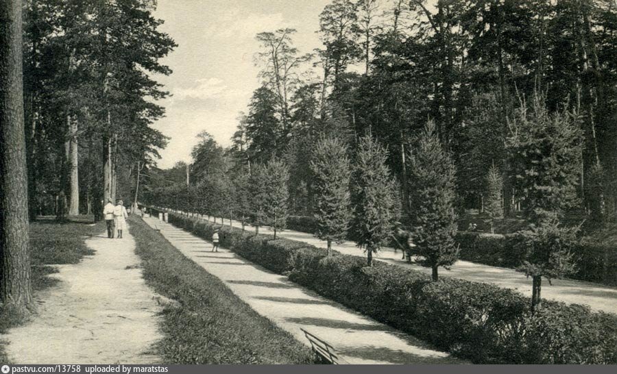 В честь этого праздника даже потом назвали Майский просек в Сокольниках, на фото он в 1912 году.